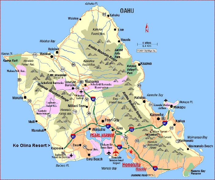 Dolphin Excursions Oahu