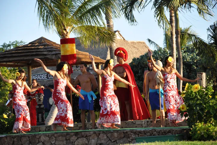 Swim With Dolphins Oahu