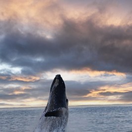 clouds in the sky over a body of water
