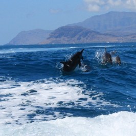 a body of water with a mountain in the background