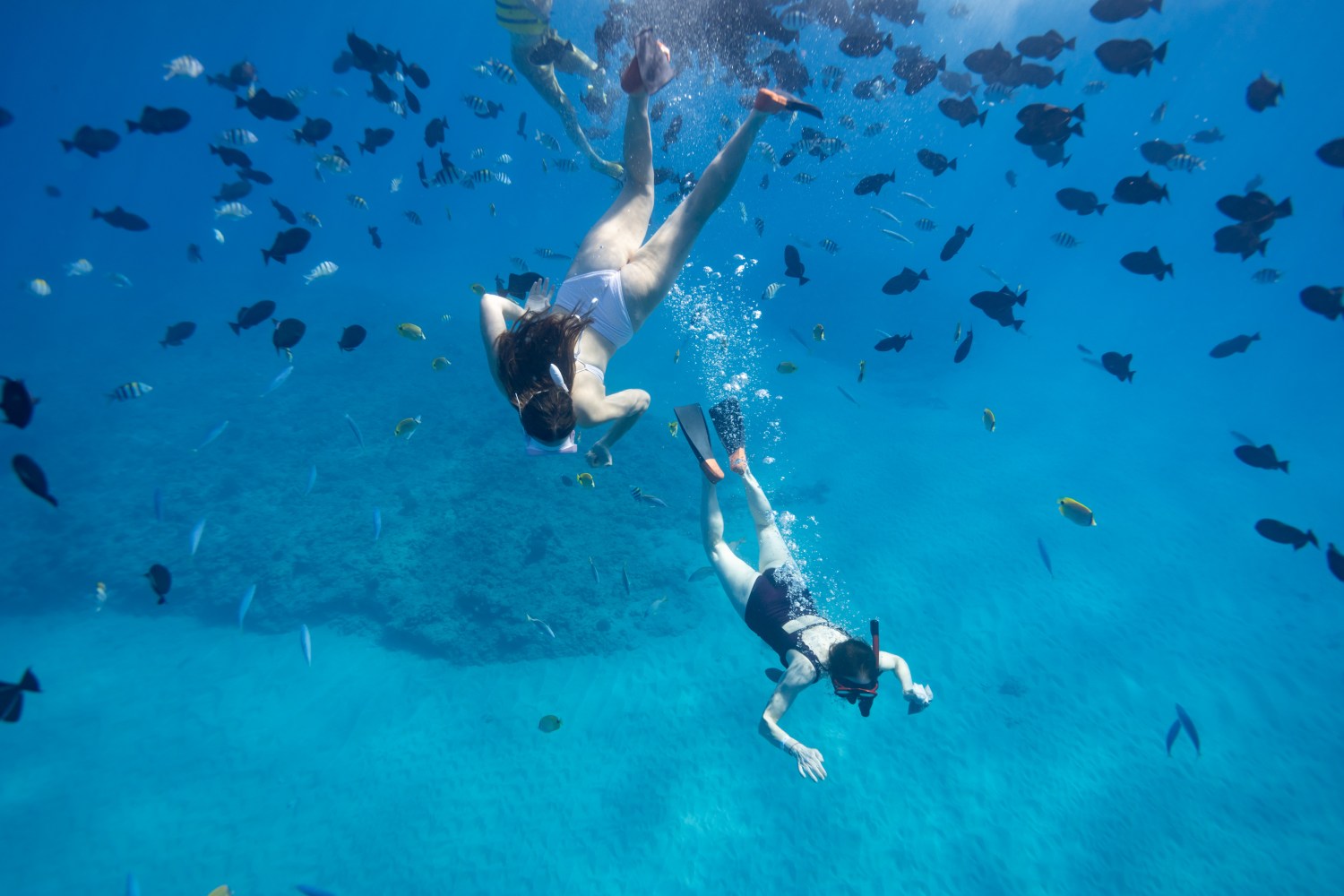 snorkeling in Hawaii