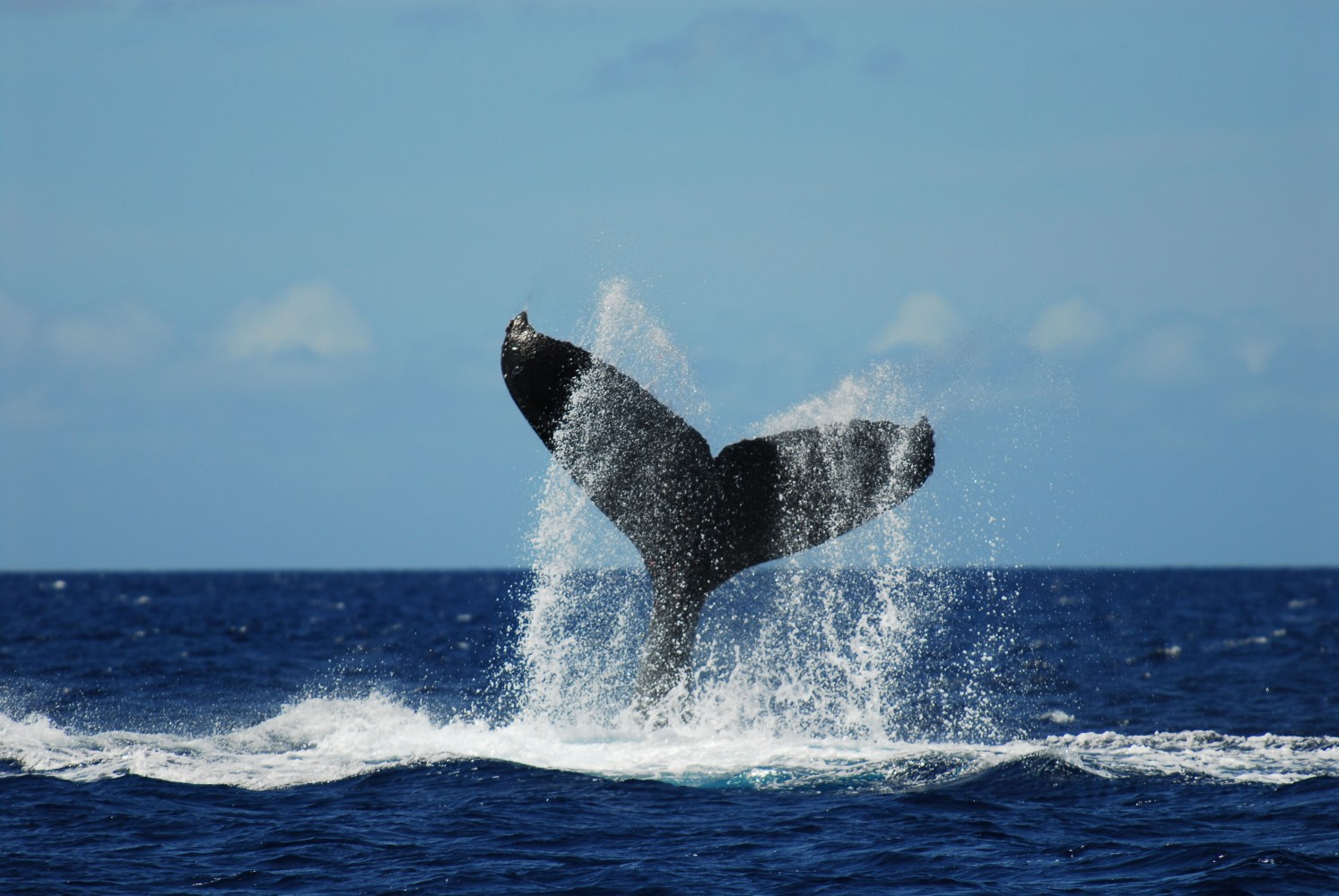 a man flying through the air while riding a wave in the ocean