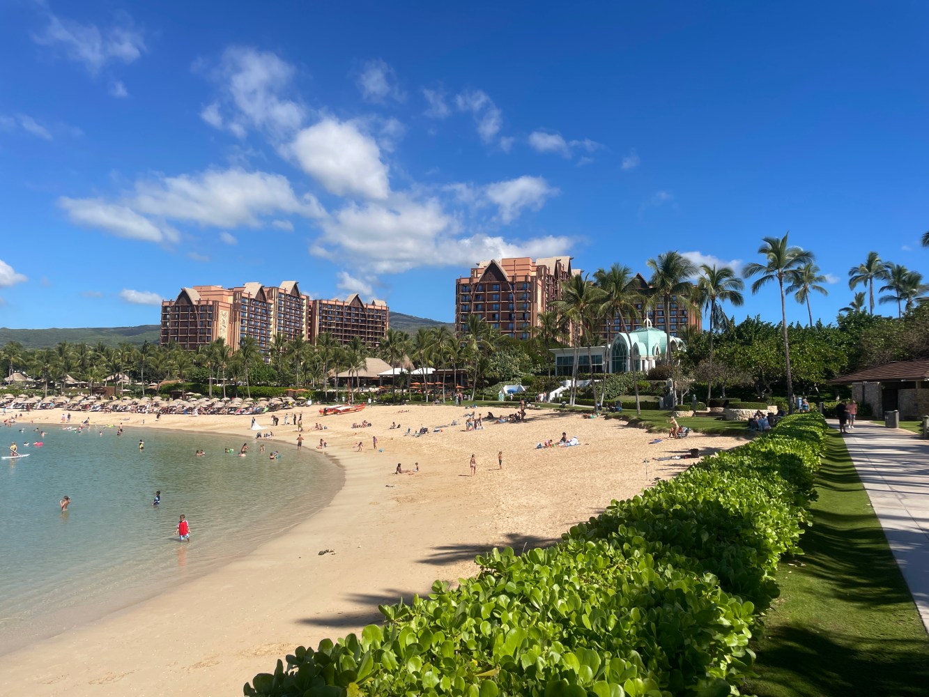 a group of palm trees on a beach