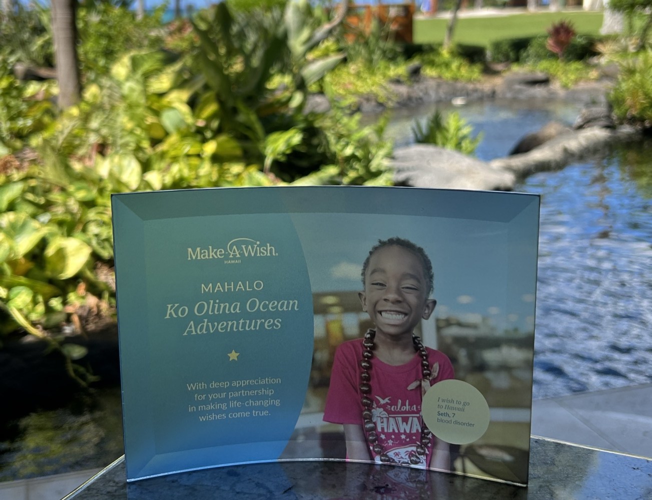 Make-A-Wish plaque with smiling child and greenery in the background.
