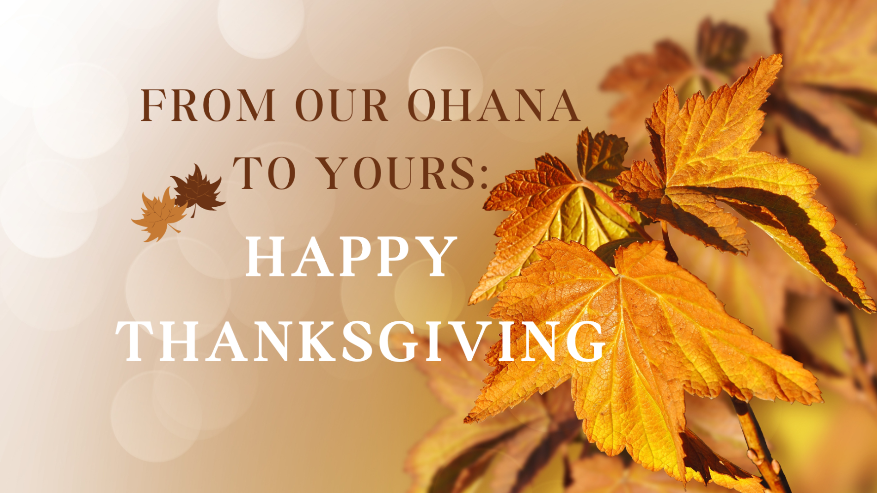 Thanksgiving message with autumn leaves: 'From Our Ohana to Yours: Happy Thanksgiving'.