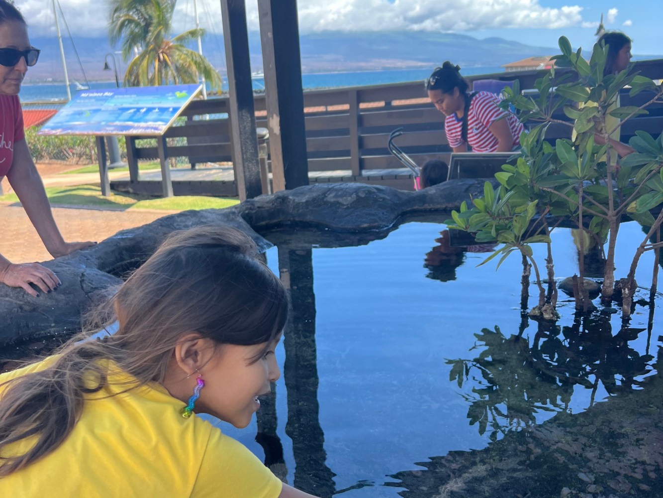 Child in yellow shirt leans over a small pond with plants, surrounded by adults and ocean view in background.