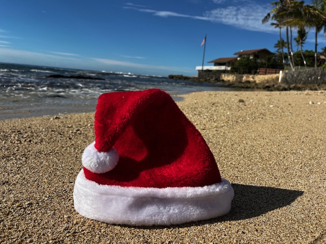 A Santa hat on a sandy beach with the ocean and palm trees in the background.