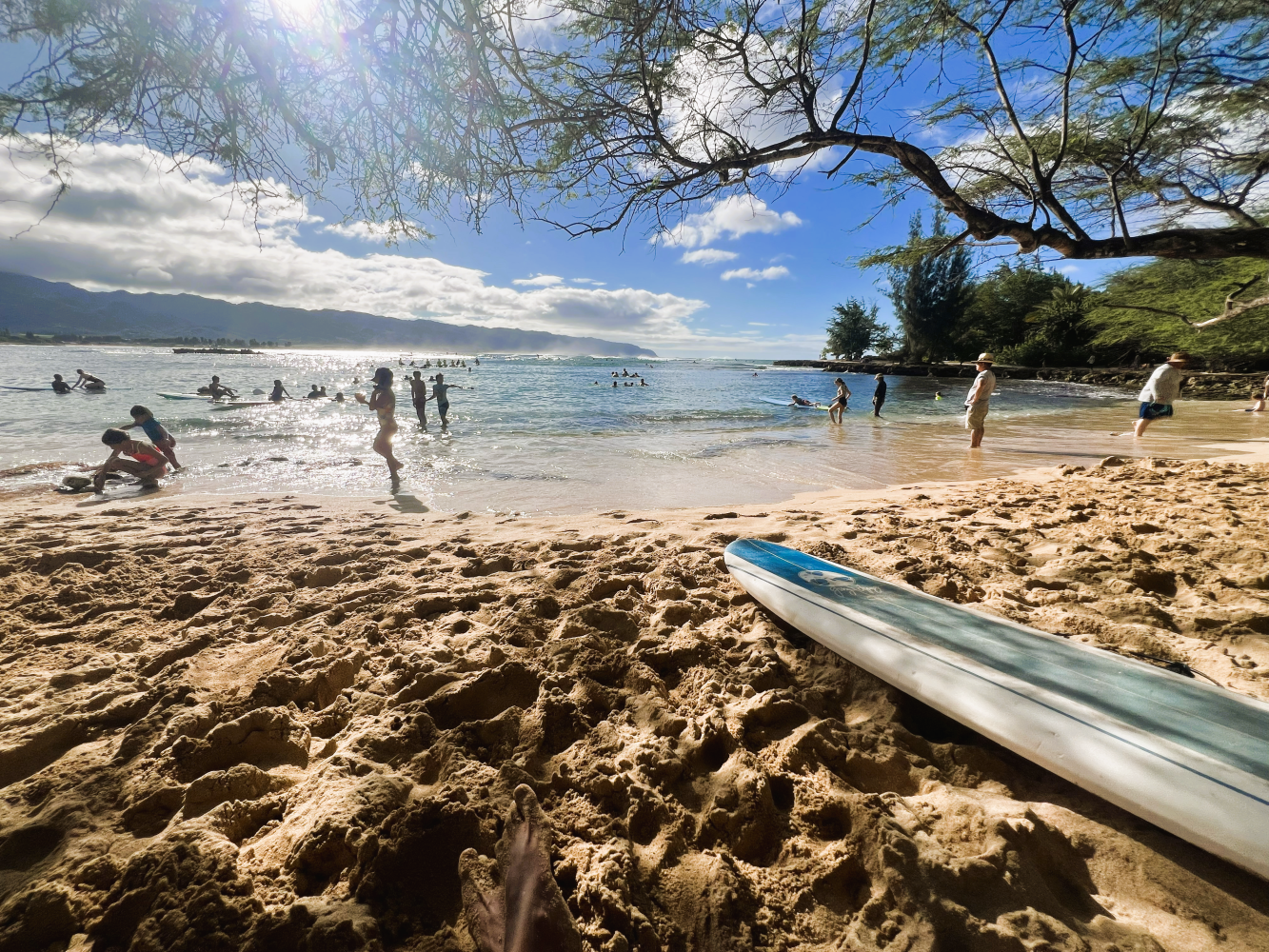 Beach scene with people in water, trees shading sand, and a surfboard in the foreground.