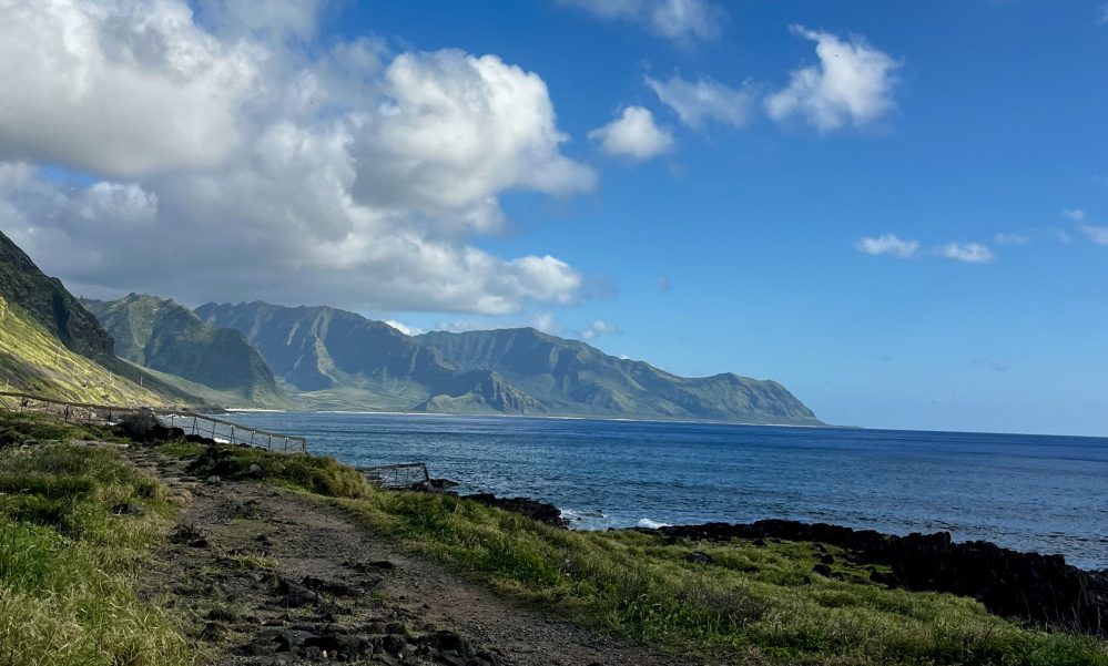 Coastline with grassy path, mountains, cloudy sky, and ocean under blue sky.